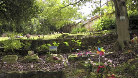 Kolumbien-San-Gil-Alter-Friedhof-Blumen-über-Friedhof-Blumen-über-Friedhöfen-Natürlicher-Friedhof-Südamerika-Friedhof-Schön-Unter-Einem-Baum-Papier-Windmühle-Schlag