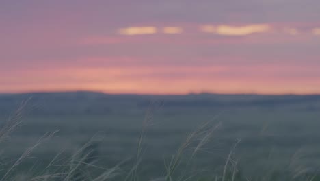 sunset over a field of grass