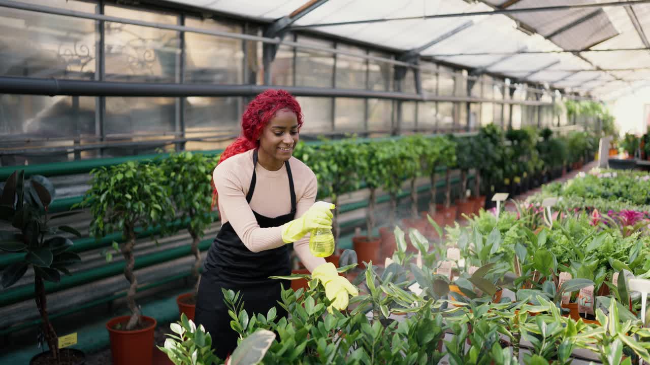 Giovane donna indiana che annaffia le piante in una serra - hobby ecologico.