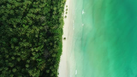 a birds eye view shows the coastline of madwaer beach in maluku indonesia