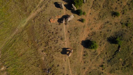 Manada-Sudafricana-De-Elefantes-Bañándose-En-Barro-Al-Atardecer