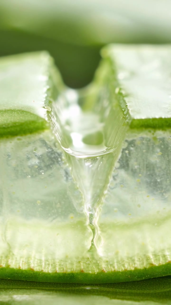 Vertikal video: Makrooptagelse viser tykt grønt aloe vera-blad skåret, der udskiller gel, danner en dråbe og samler saft