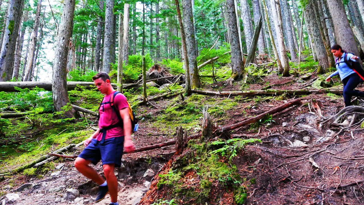 산책 하는 부부 가 숲 에서 산책 하고 있다