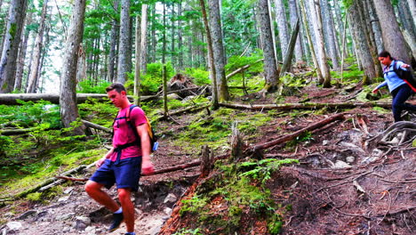 una pareja de excursionistas caminando en el bosque.