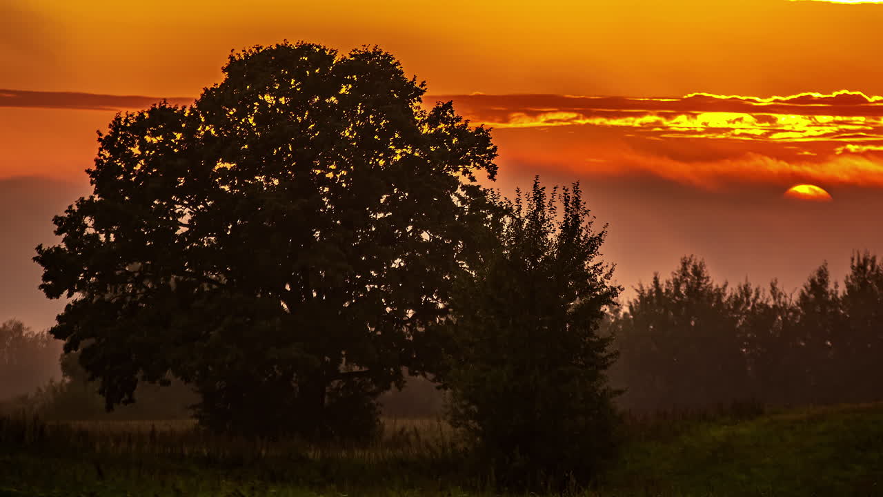 흐리고 안개가 자욱한 날 자연의 농경지에서 황금빛 일몰 조명의 시간 경과 - 가을에 나무 실루엣이 있는 멋진 풍경