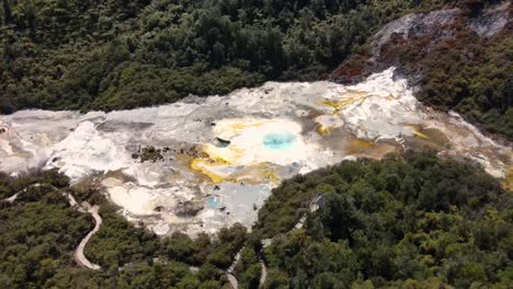 oustanding aerial view of steaming geothermal area in lush dense forest on lakeside