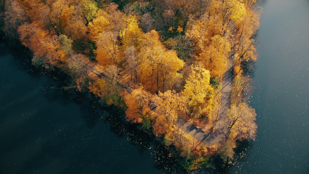 나무 꼭대기  ⁇ 에 숨어 있는 도로와 함께 놀라운 가을 그림자에 대한 공중 숲