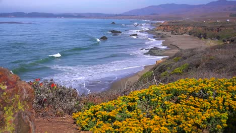 gorgeous beach and coastal scenery along california highway one