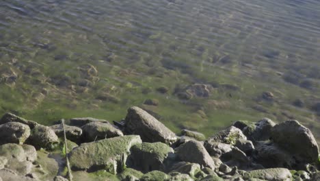 agua y rocas. lago glacial en los alpes