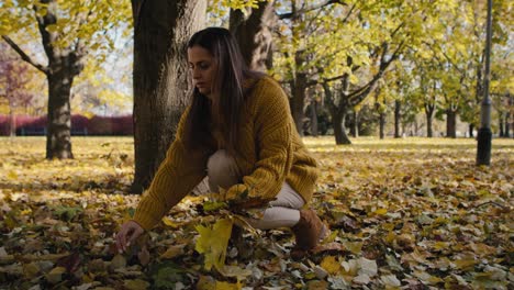 caucasian adult woman collecting leaf in autumn.