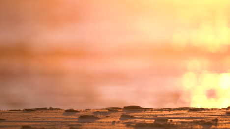 out of focus glow and bokeh of waves and water on a summer sunset in cadiz, spain