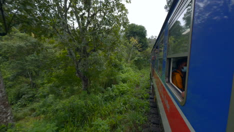 train journey through a lush forest