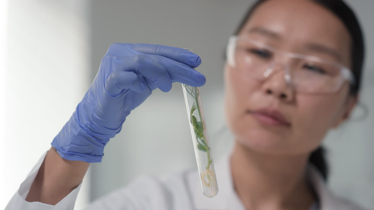 Microbiologist Holding Test Tube With Seedling