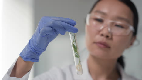 microbiologist holding test tube with seedling