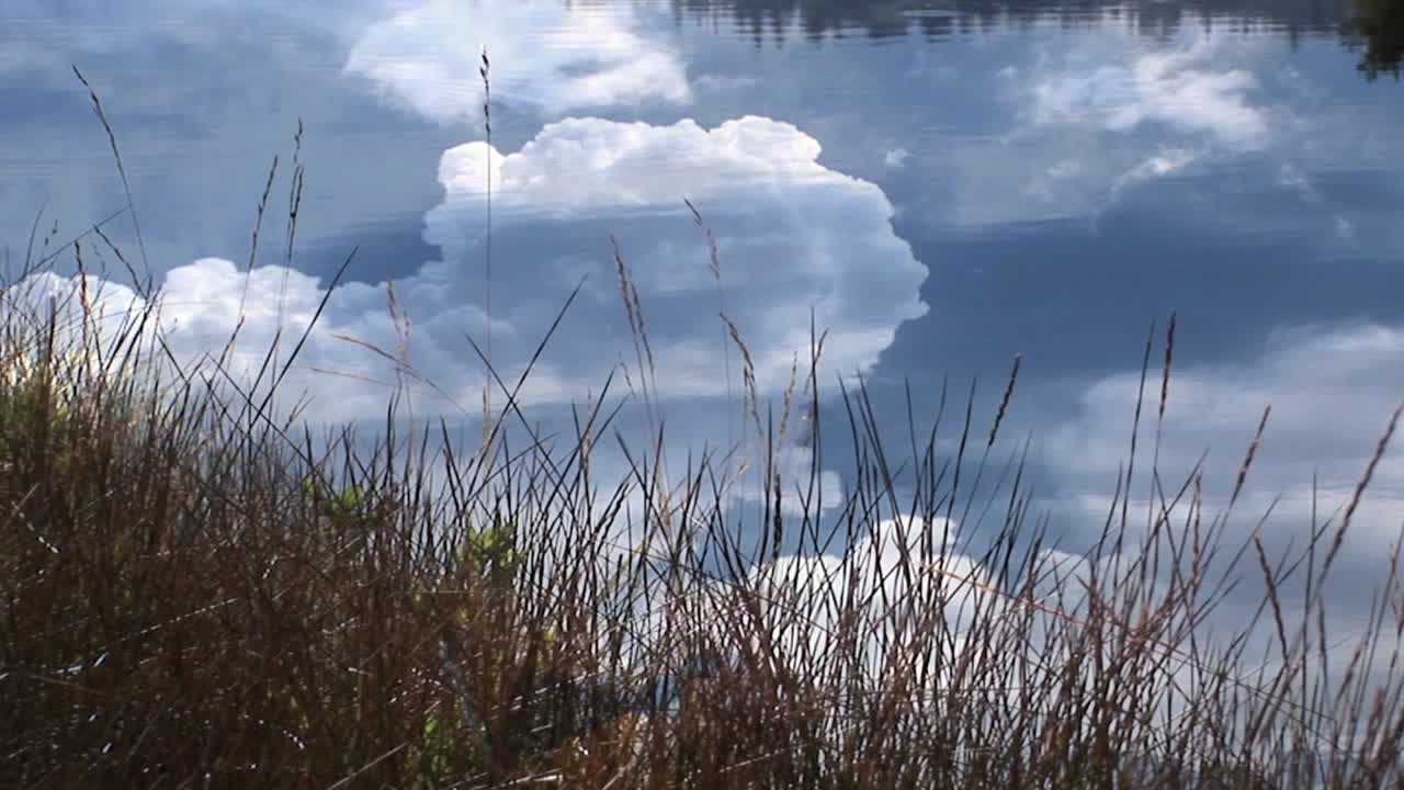잔잔한 연못 위로 솟아오르는 뇌운의 놀라운 장면