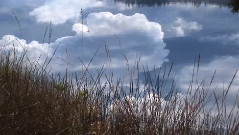 a remarkable shot of thunderclouds billowing over a calm pond