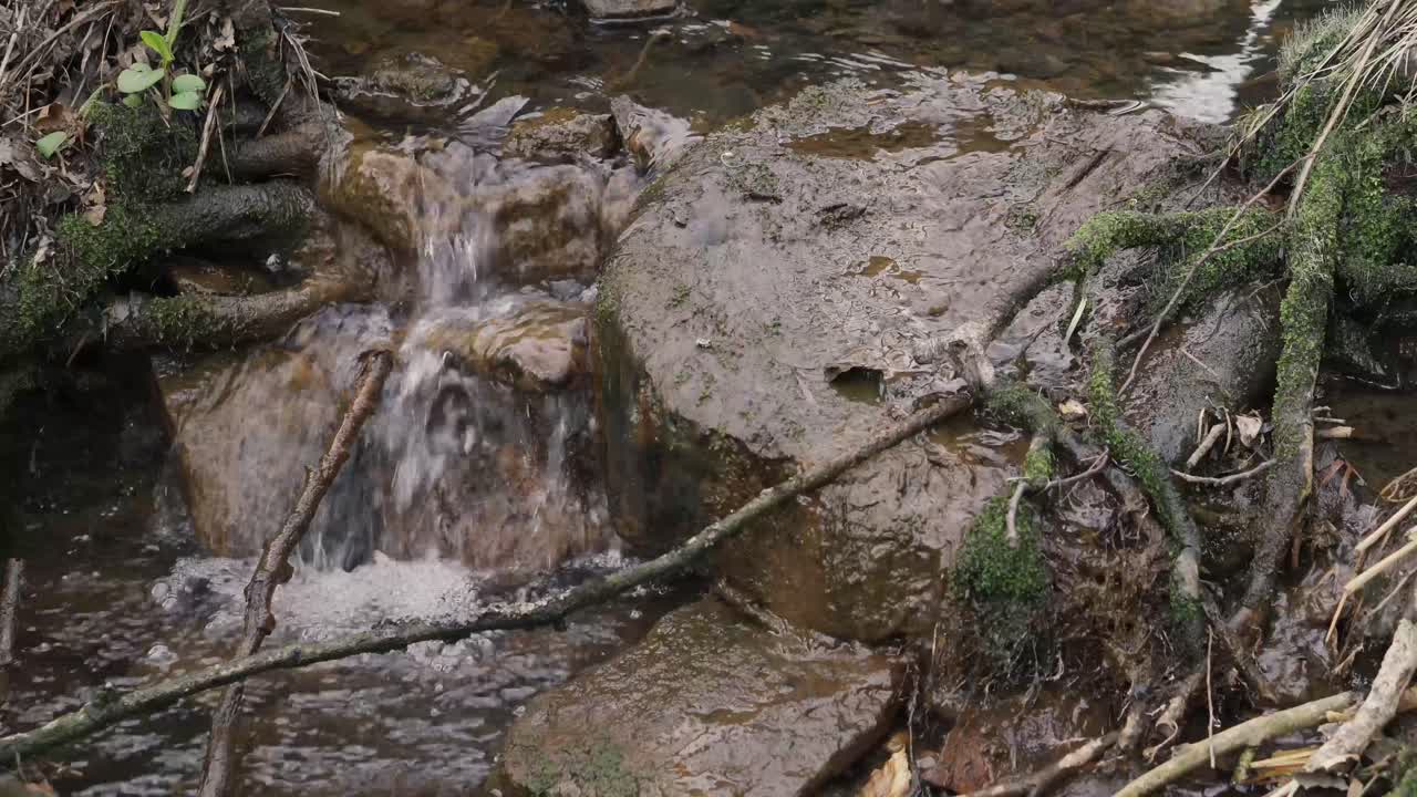 A small stream of water running through woodland on English farmland in Lancashire