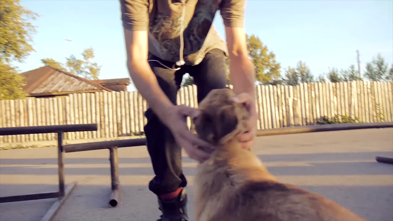 스케이트파크에서 스케이트보드와 개