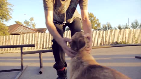skateboarding y perro en el skatepark