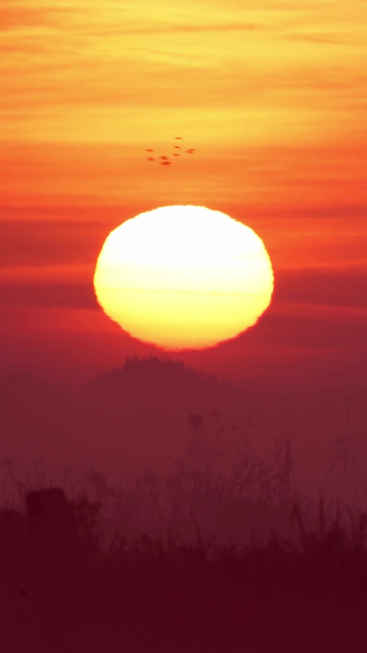 Solen står op over et tågedækket landskab, der kaster varme orange og gule nuancer. Ideel til naturdokumentarer eller stemningsfulde scener.