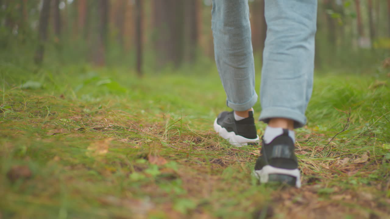 Back view of woman s feet walking through a serene forest path, wearing black sneakers and light jeans, surrounded by lush greenery, the ground is covered with small plants