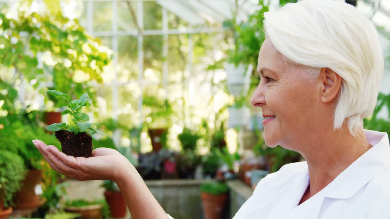 ⁇ 비 식물 을 들고 있는 여성 과학자
