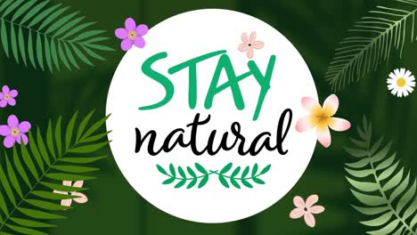 animation of stay natural in circle and tropical plants on green background