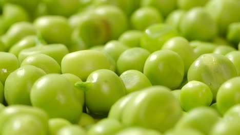 chef shelling fresh green peas into a bowl chef shelling peas into a white bowl on a white table
