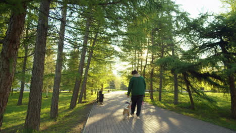 male owner walking in park with dog