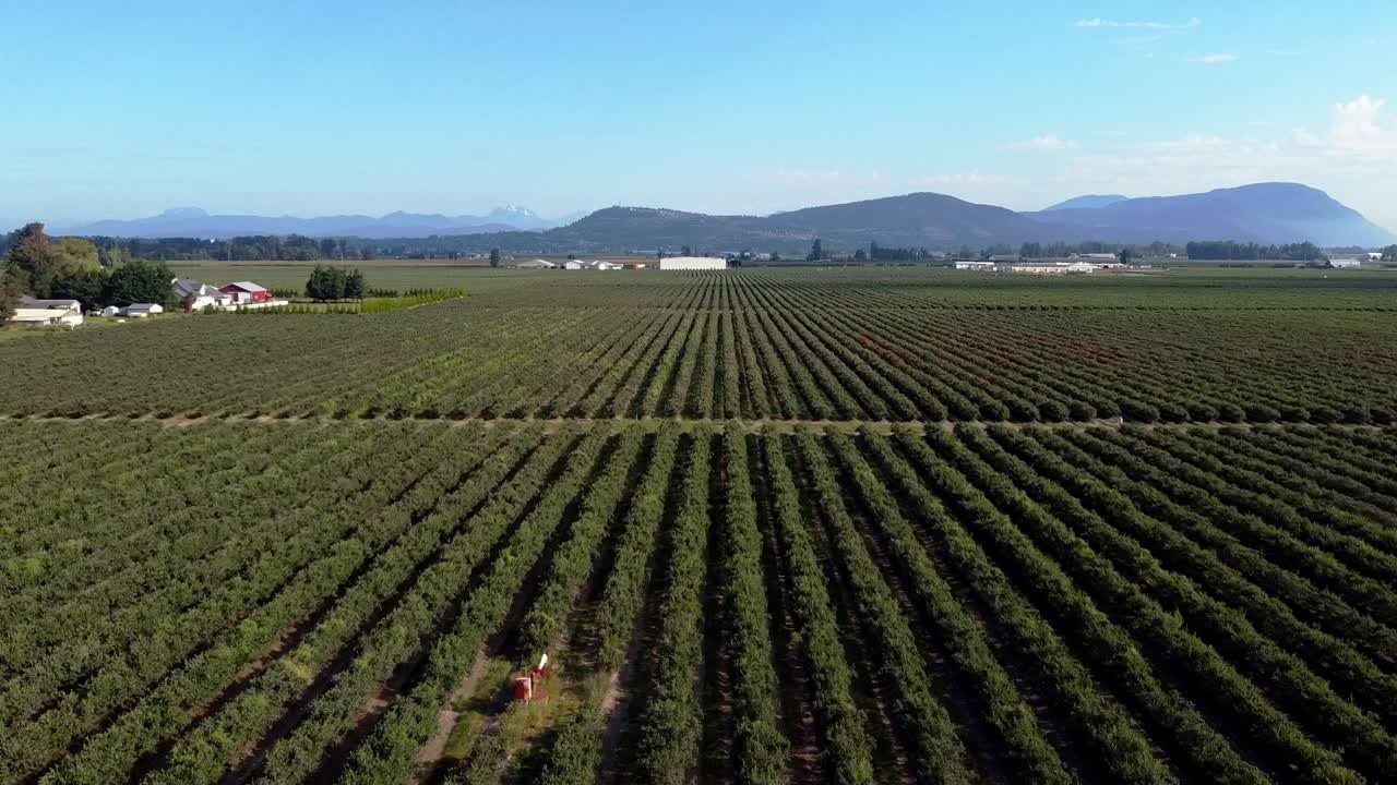 drone volando sobre los campos en sumas, washington en las cascadas del norte