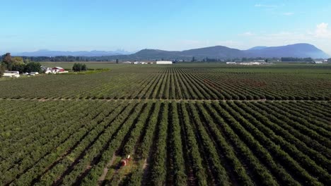 Drone-Flying-Over-Fields-in-Sumas,-Washington-in-the-North-Cascades