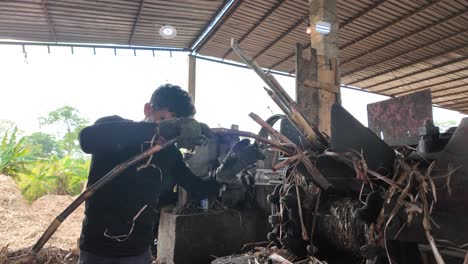 man use rustic industrial machine to process sugarcane stalks to extract juice, with piles of bagasse and green plants background. latin american culture