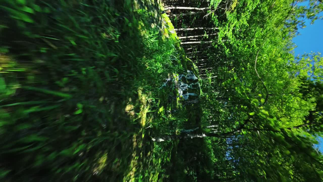 фпв дрон летит через волшебный лес