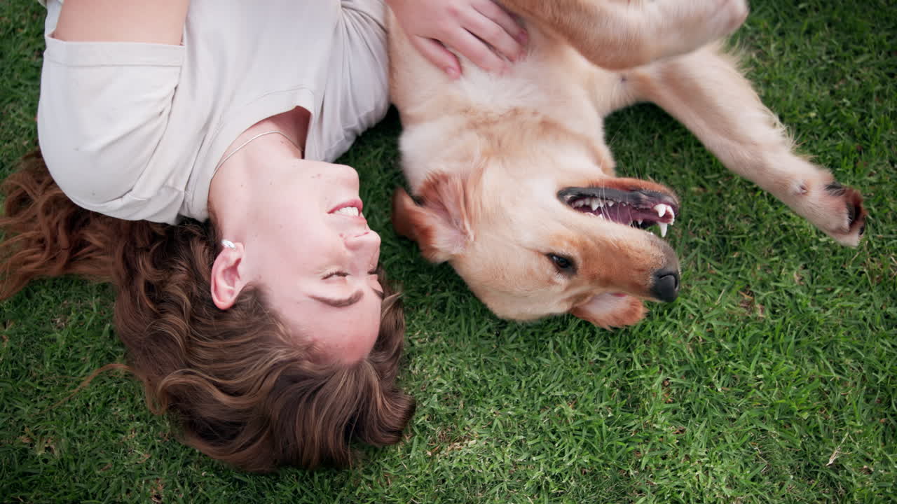 A person playing with a golden retriever on the grass