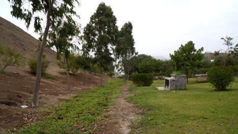 Toma-Fija-De-árboles-Meciéndose-Con-El-Viento-En-Un-Parque-En-San-Antonio,-Cañete,-Lima,-Perú