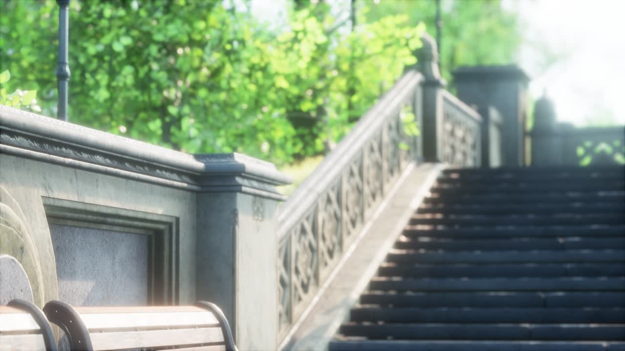 도시 에 있는 평화로운 공원