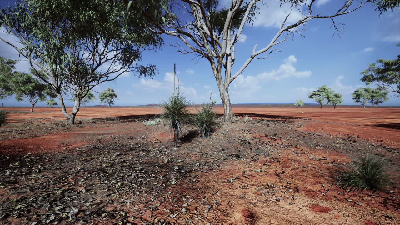 alberi di acacia nel paesaggio della Tanzania con nuvole nel cielo