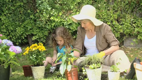 grandmother and granddaughter gardening together