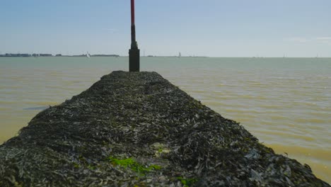 walking along seaweed covered concrete pier into the sea on sunny day