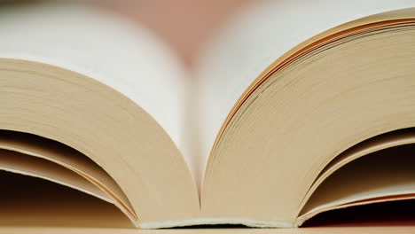 close-up of open book pages