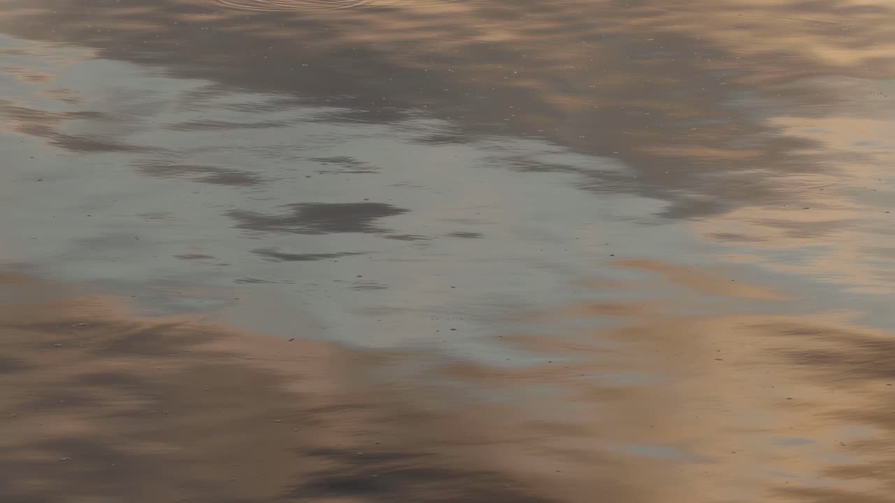 Soft sunset colors ripple across the water's surface, creating a tranquil and dynamic visual experience.