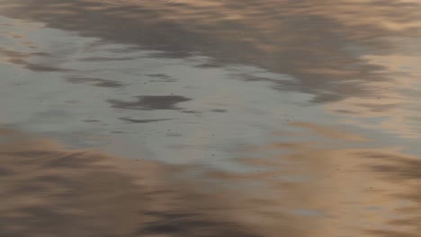 soft sunset colors ripple across the water's surface, creating a tranquil and dynamic visual experience.