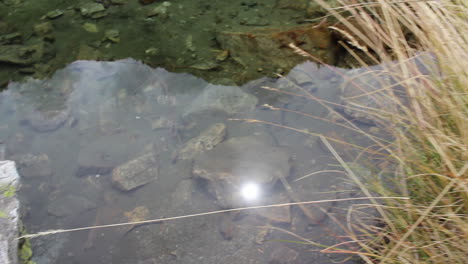 water creek with sky and sun reflected