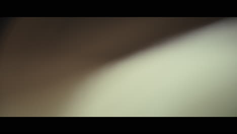 real light leaks created by whacking an anamorphic lens