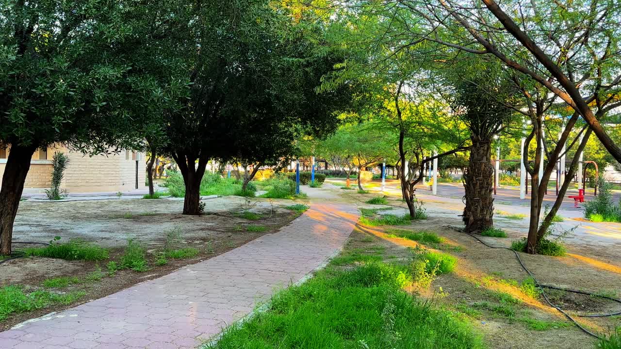 Tranquil park path surrounded by lush trees and warm sunlight—ideal for nature, relaxation, urban greenery, or wellness-themed footage.