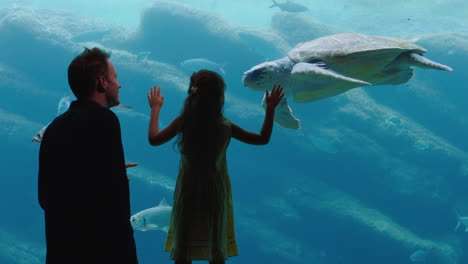 happy girl with father at aquarium looking at sea turtle swimming with fish in tank curious child watching with excitement dad teaching daughter about marine animals in oceanarium