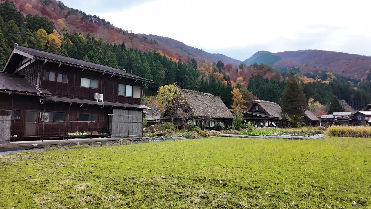 Gassho style farmhouses in Shirakawa go, Japan, surrounded by colorful autumn foliage and rice fields, create a picturesque rural scene