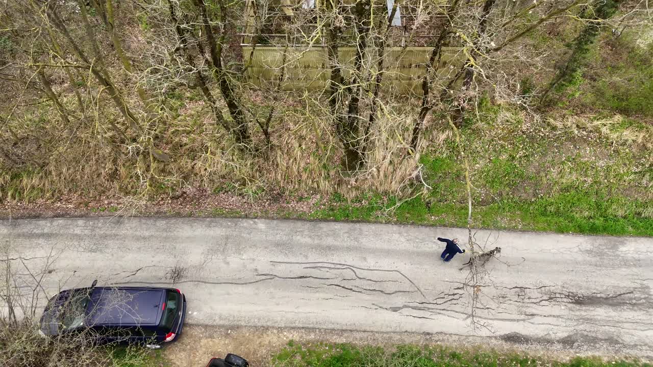 A drone follows a man walking a grey female Great Dane on a cracked road through leafless woods in Martani, capturing the dog’s elegant stride and the quiet rhythm of rural life
