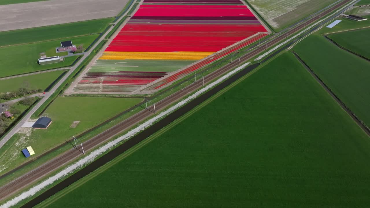 Luftaufnahme von Tulpenfeldern, durchzogen von einer Zugstrecke in Holland