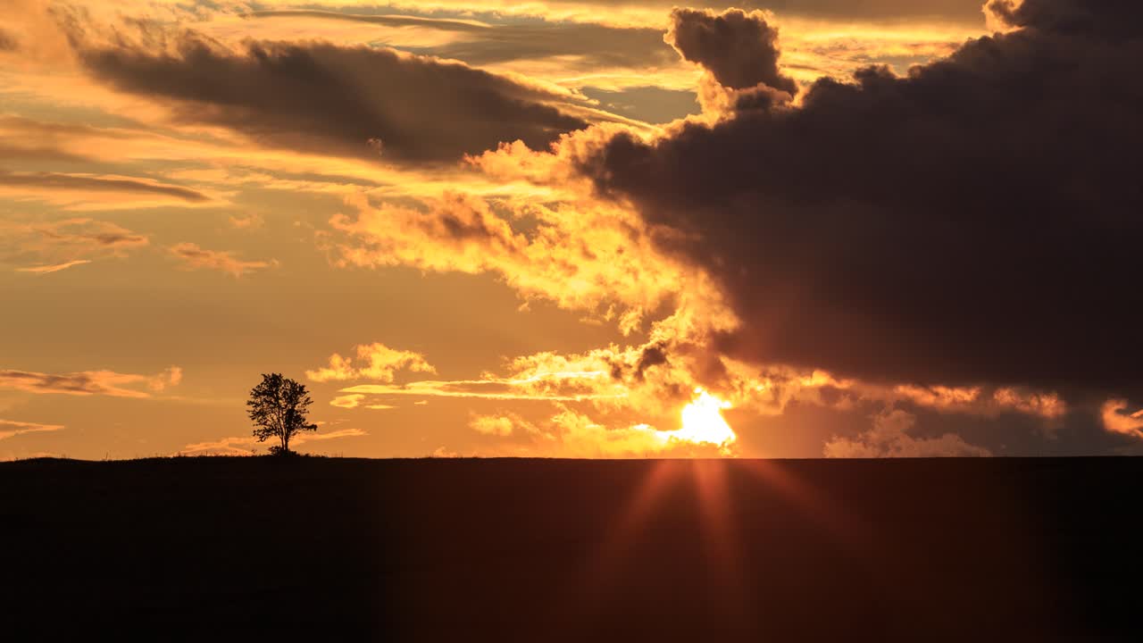 Sun setting behind a hill with lonely tree on the horizon.